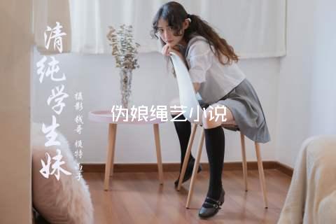 伪娘绳艺小说